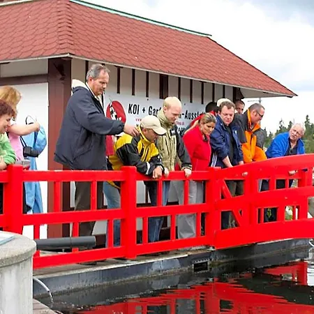Koi-gartenteich