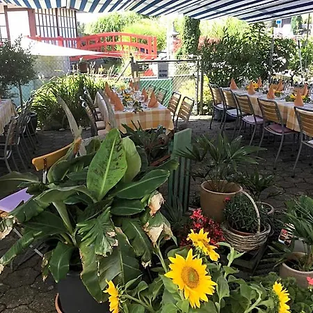 Otel Koi-gartenteich