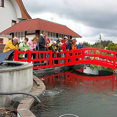 酒店 Koi-gartenteich