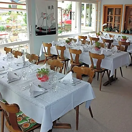 Otel Koi-gartenteich